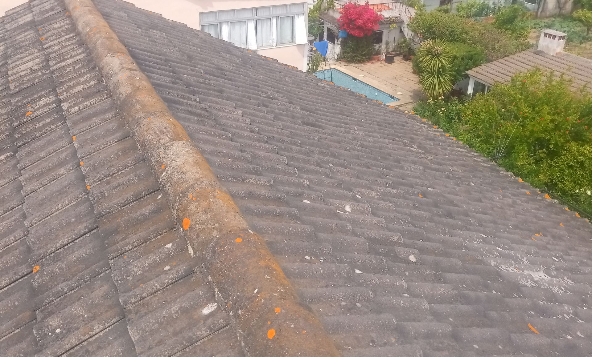 Telhado de telhas cinzentas com uma cumeeira central coberta de musgo laranja e cinza, com casas e vegetação ao fundo.