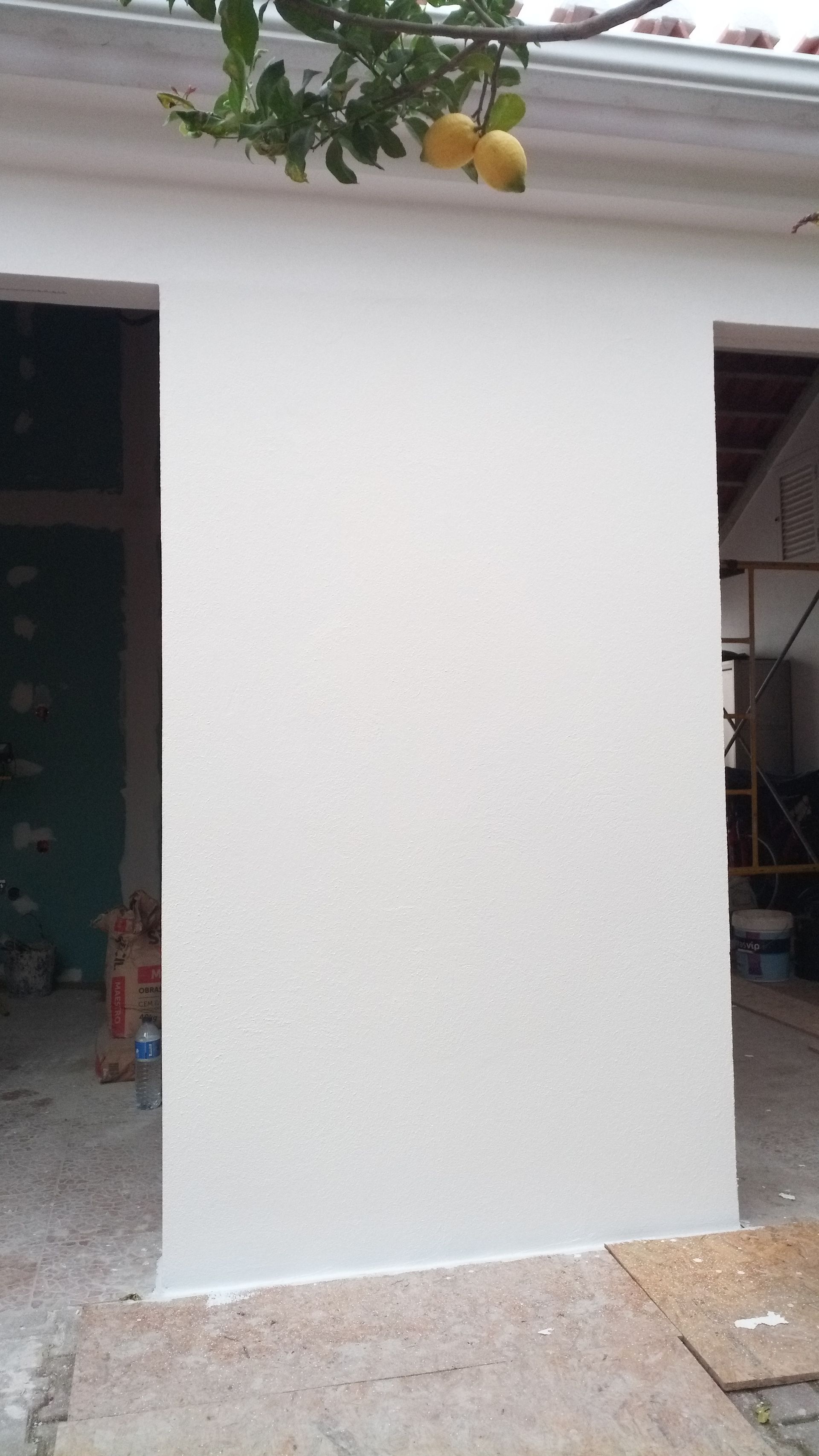 Parede de estuque branco entre as portas, com ramos de limoeiro acima.