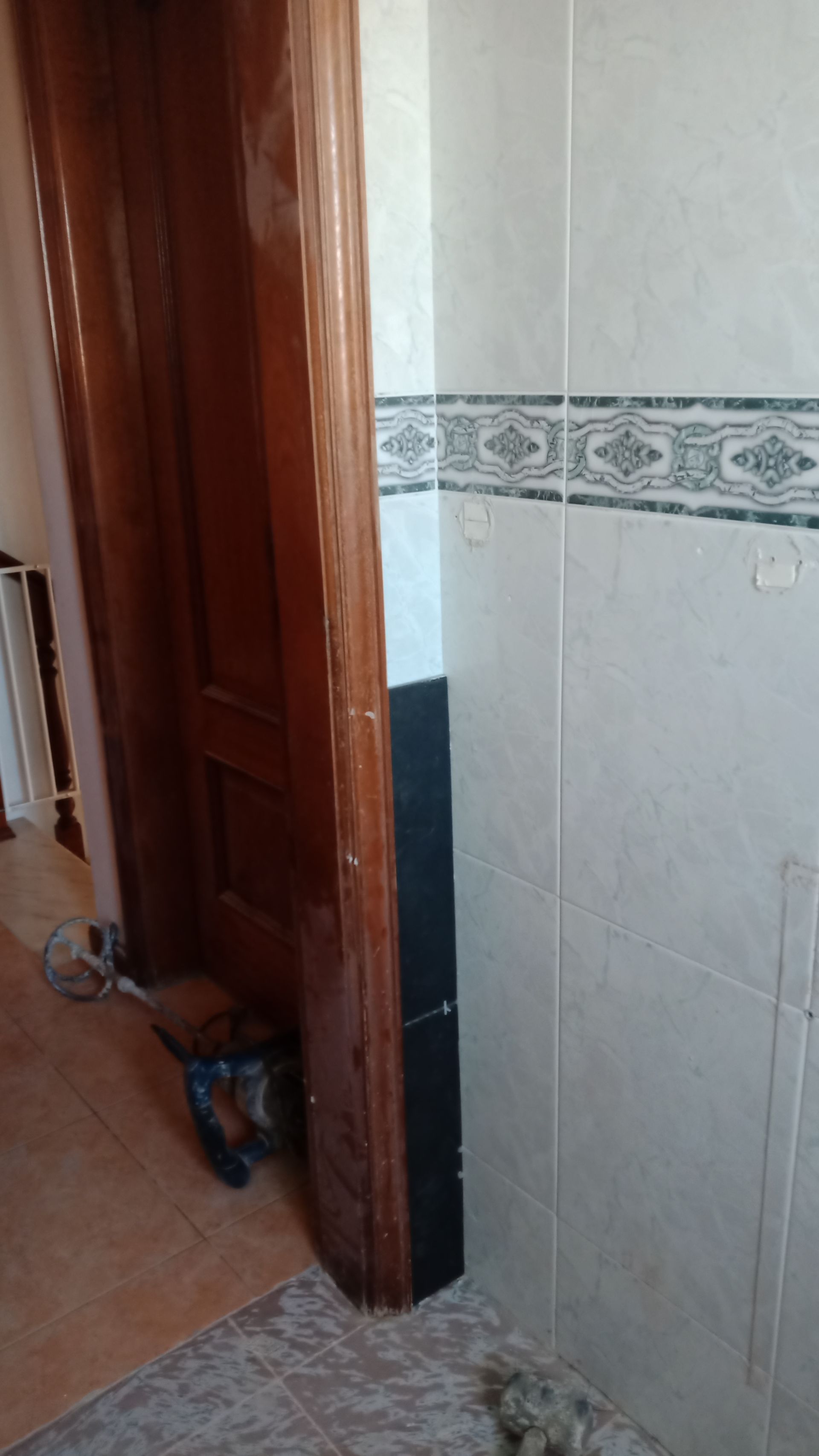 Um gato de cor escura espreita por trás de uma porta de madeira perto de uma parede de azulejos em um quarto.