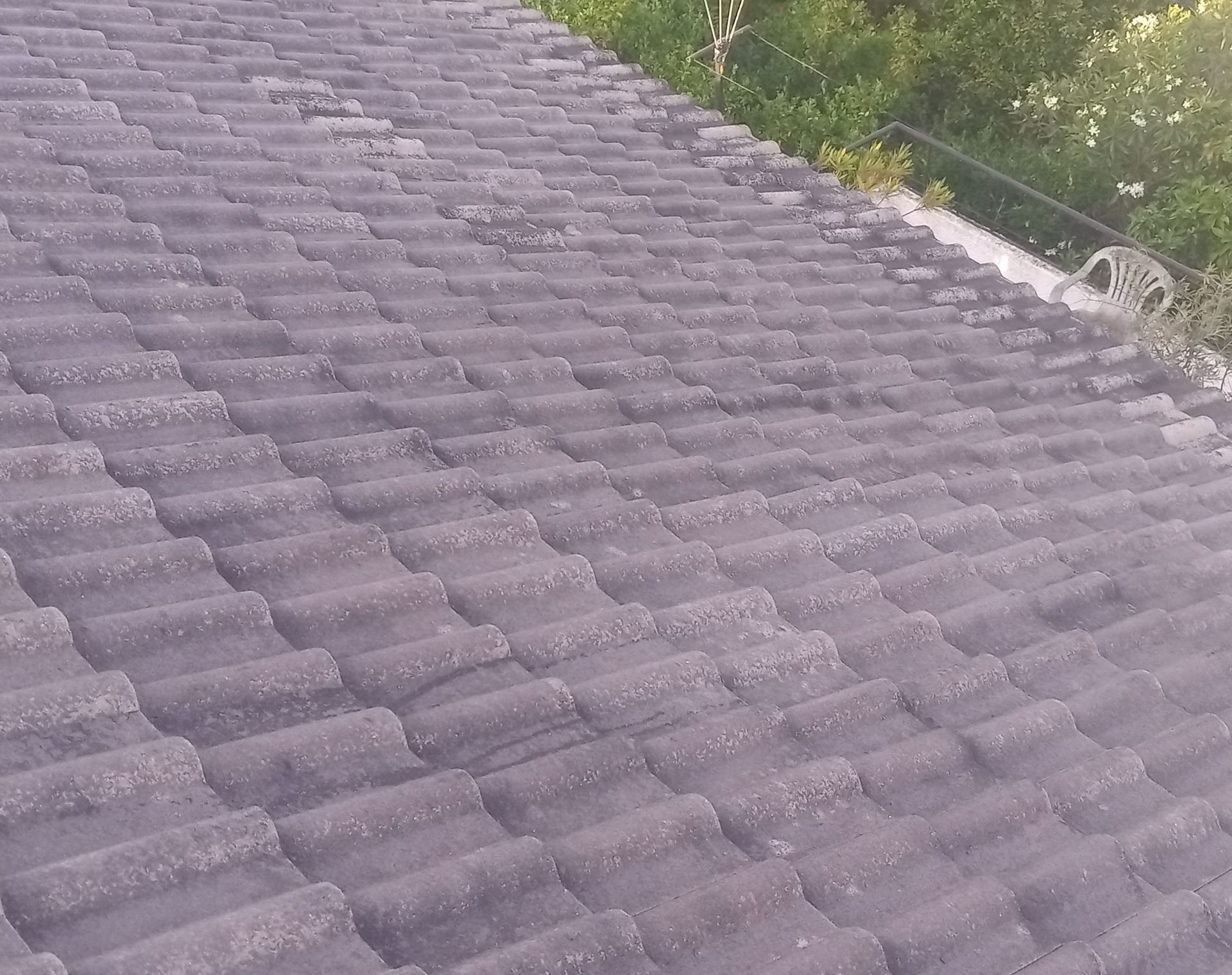 Telhado de telhas cinzentas, ligeiramente desgastado pelo tempo, com vista para a vegetação ao fundo.