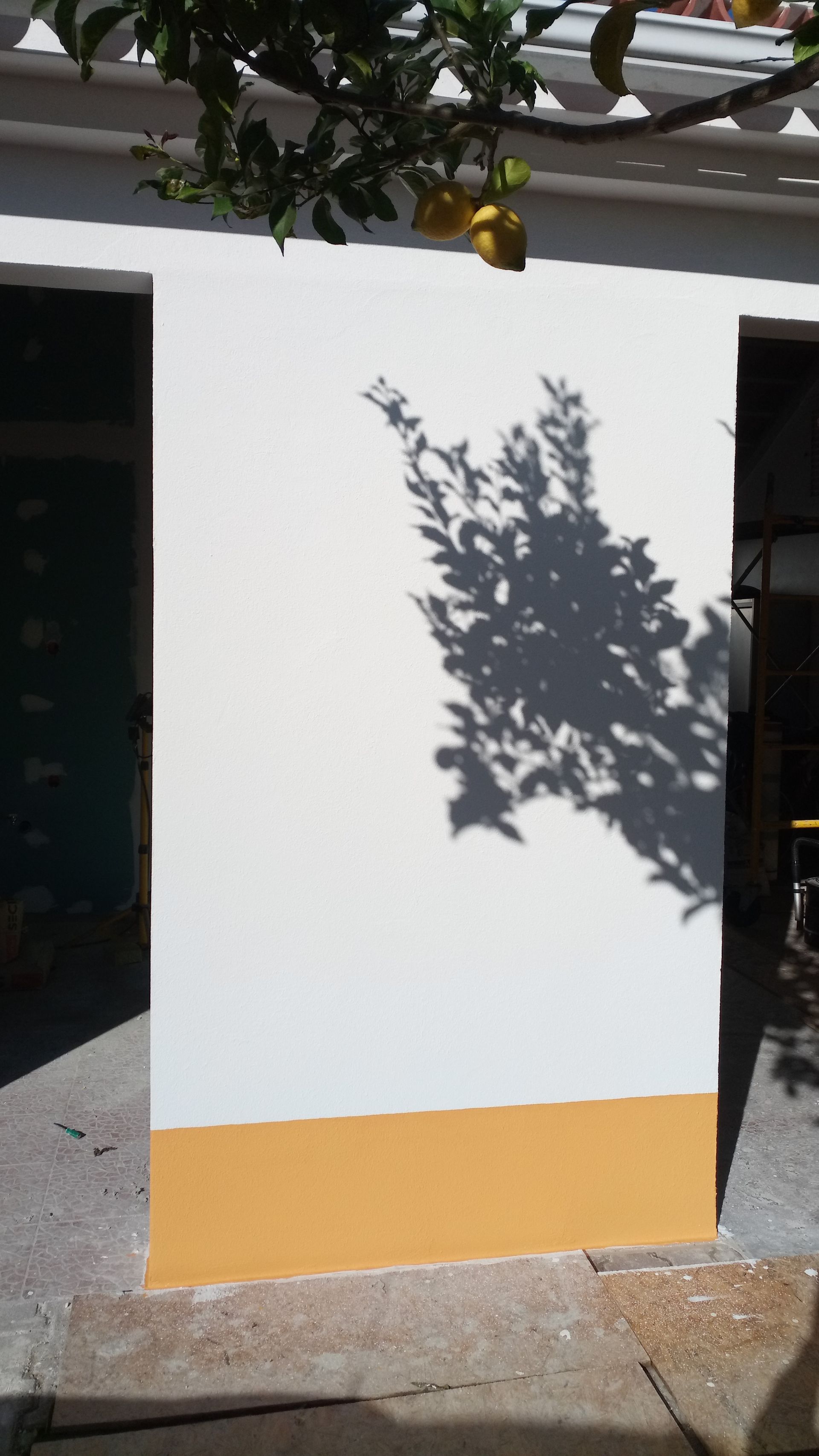 Parede pintada de branco e amarelo com sombra de árvore.