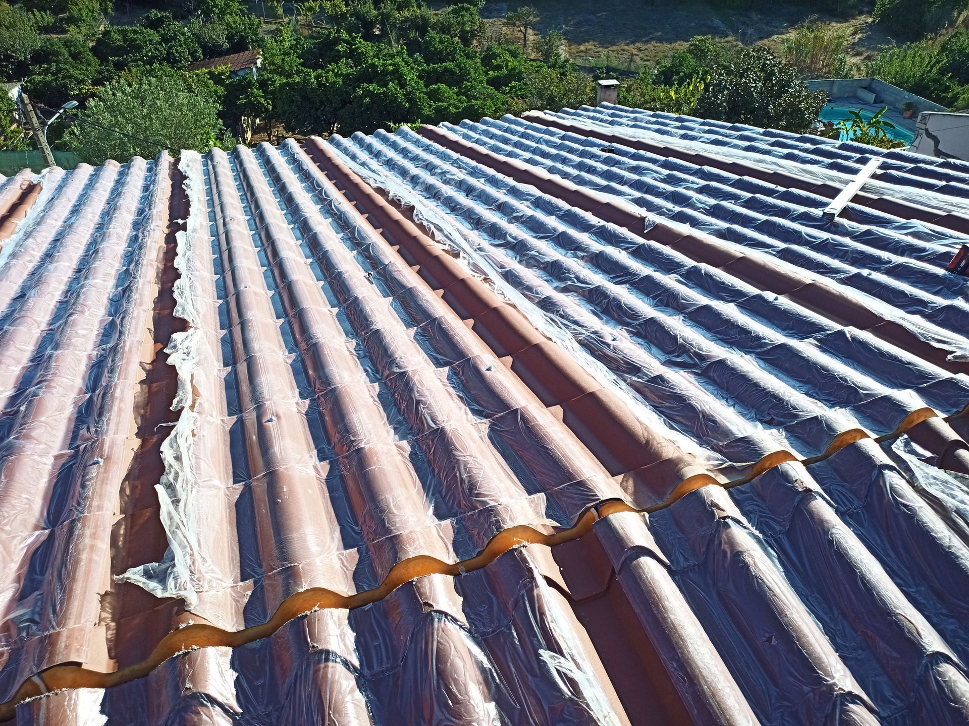 Telhado de zinco com tinta descascando e sinais visíveis de desgaste, em contraste com o verde das árvores.