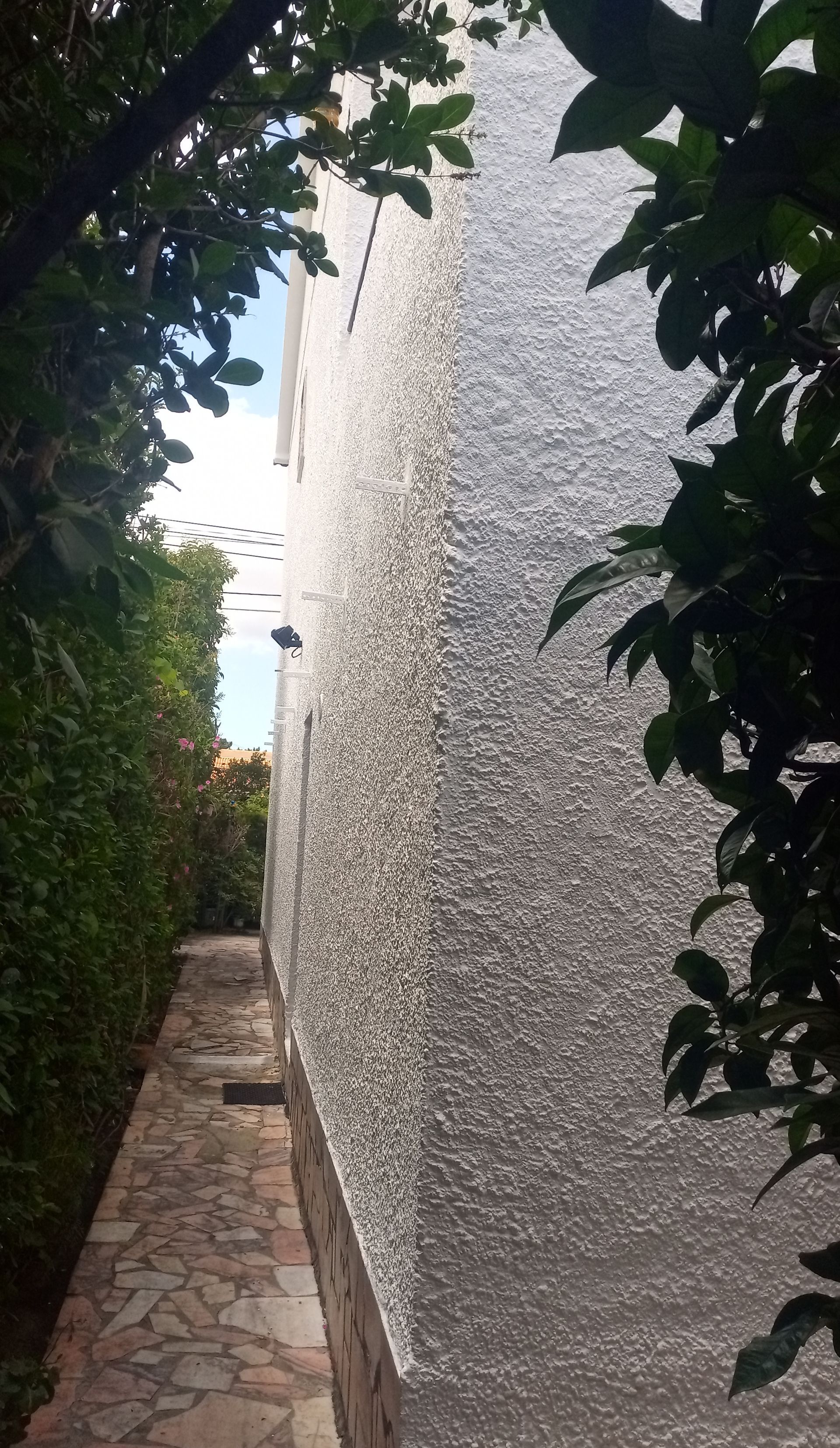 Passarela de pedra ao lado de um edifício de estuque, com uma sebe densa e galhos de árvores frondosas emoldurando a vista.