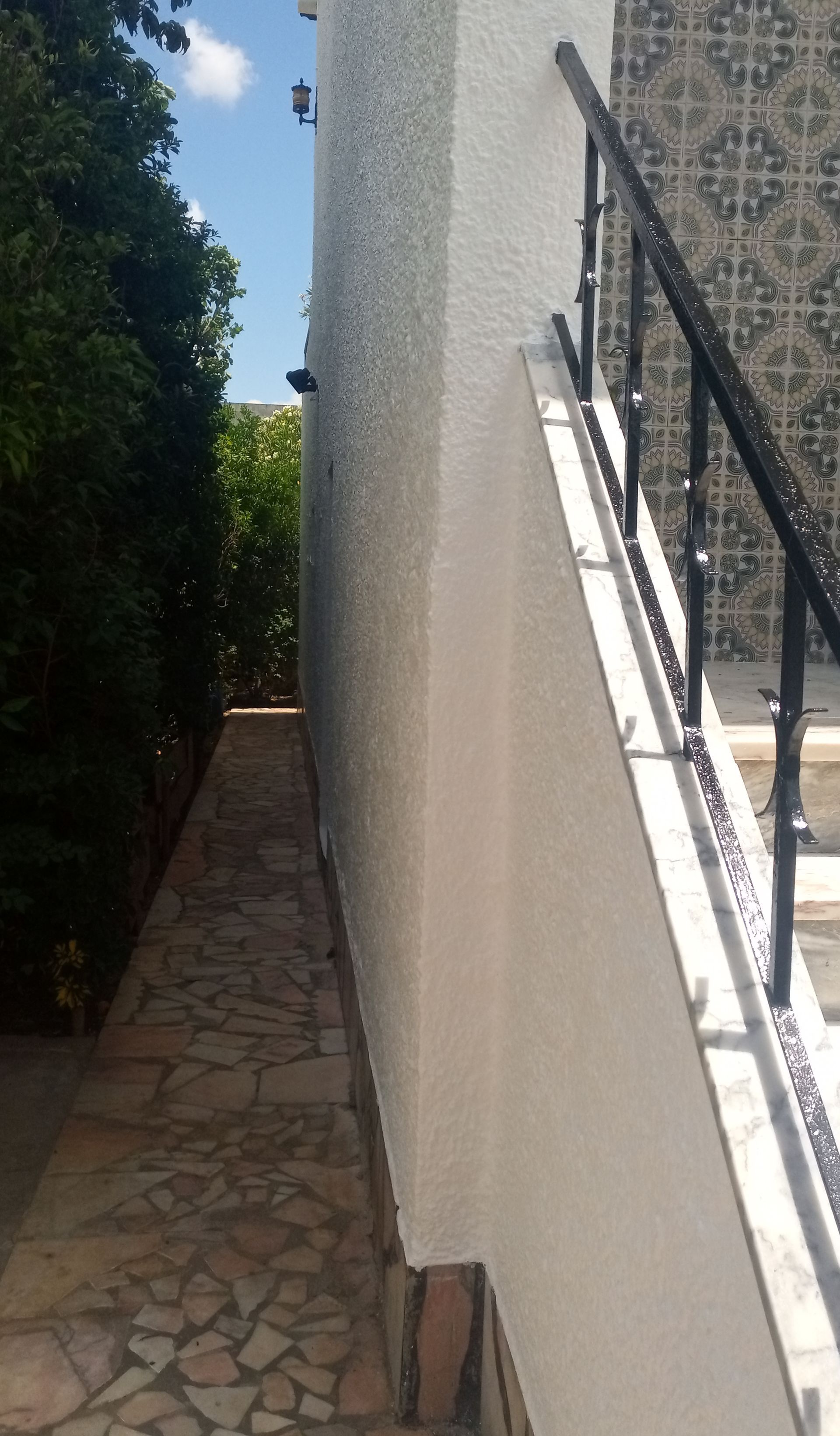 Caminho entre o edifício e a sebe verde, com escadas e parede de azulejos estampados.