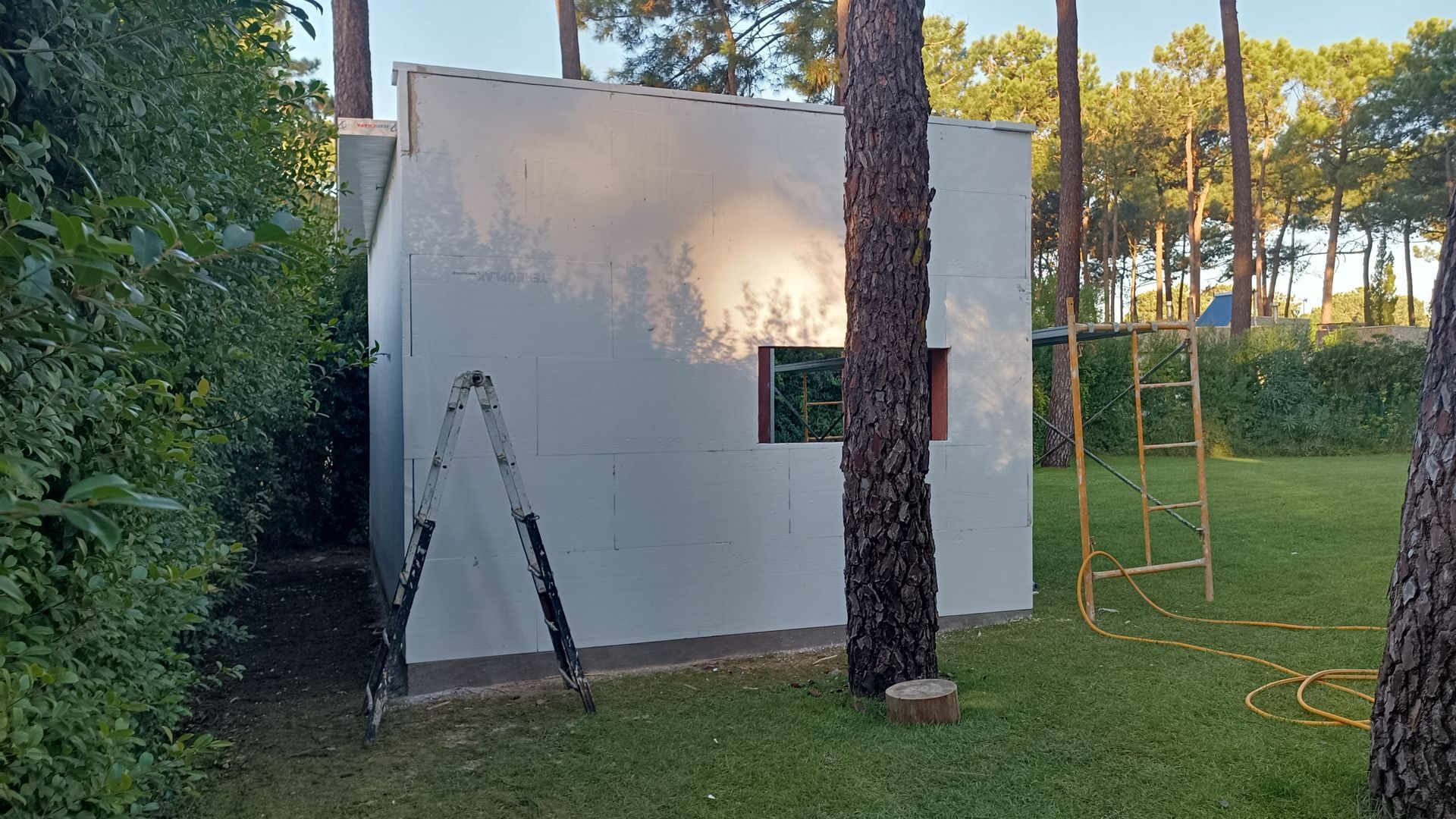 Prédio branco com uma escada, uma janela e uma árvore em um gramado com outras árvores ao fundo.