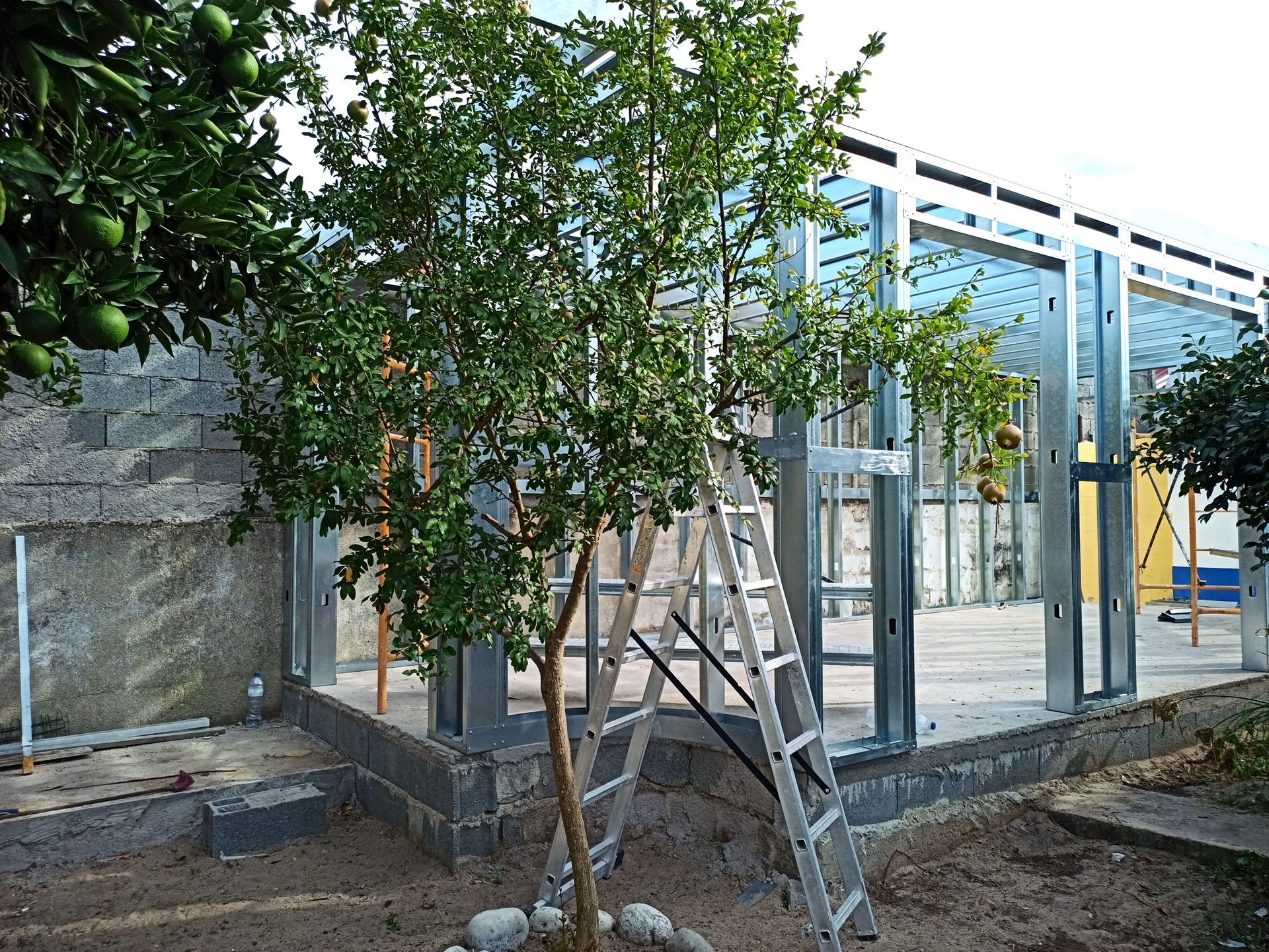 Árvore com escada em frente a uma construção parcialmente erguida com estrutura metálica.