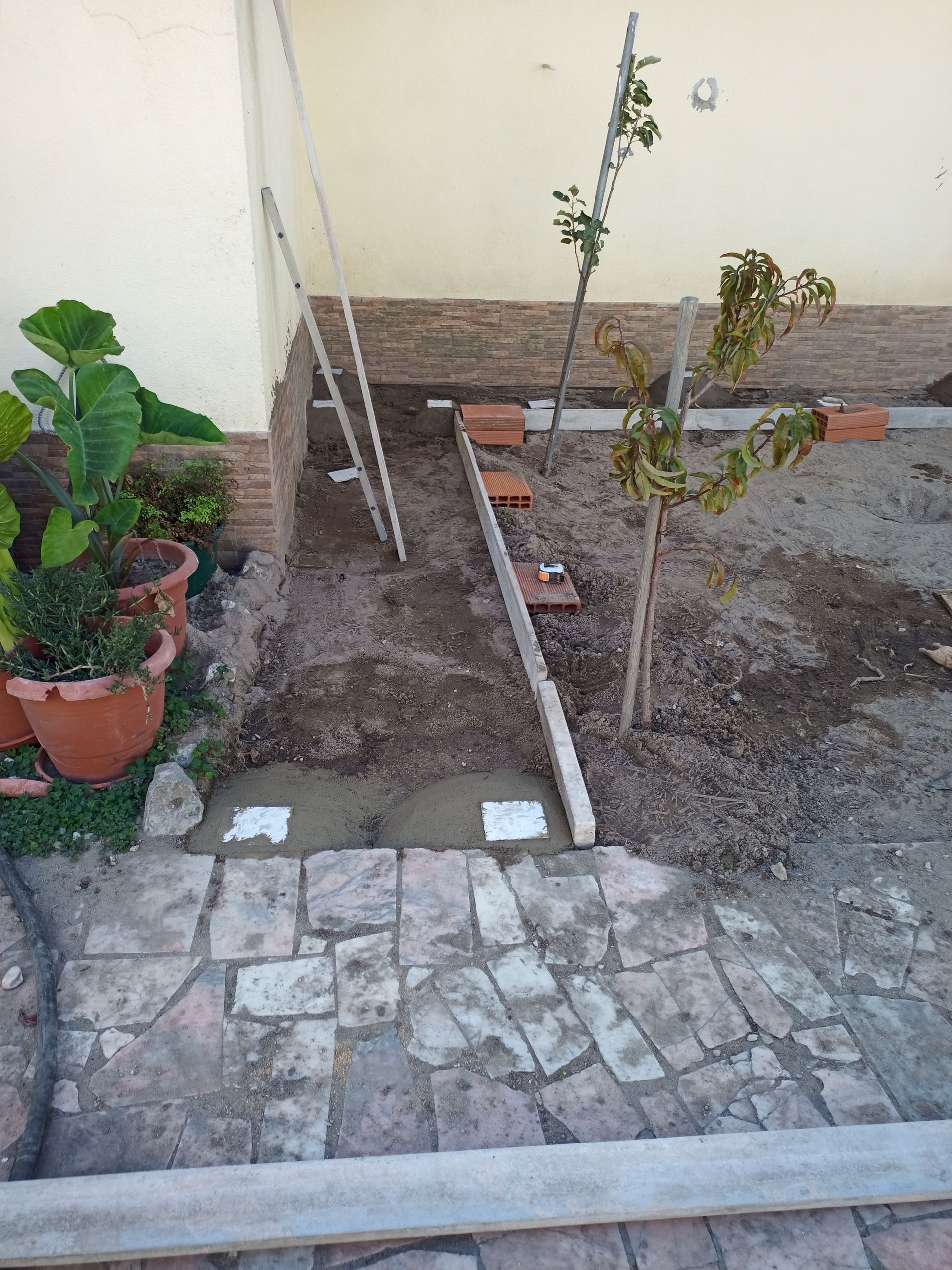 Caminho de acesso ao quintal em construção, com tijolos e duas pequenas árvores.