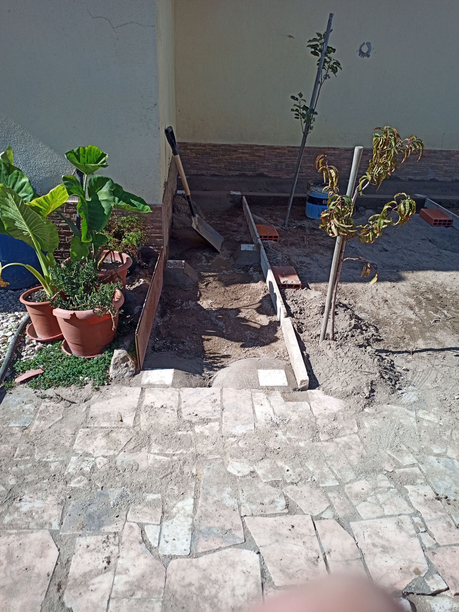 Vasos de plantas e pequenas árvores em um quintal parcialmente pavimentado, com uma escada encostada na parede ao fundo.