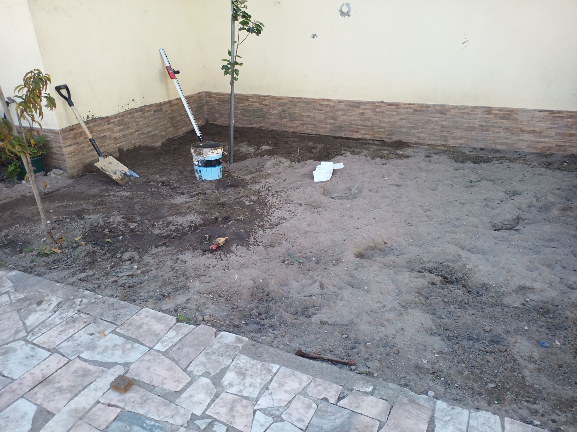 Um pequeno pedaço de terra batida com duas árvores jovens e ferramentas de jardinagem encostado em uma parede bege.