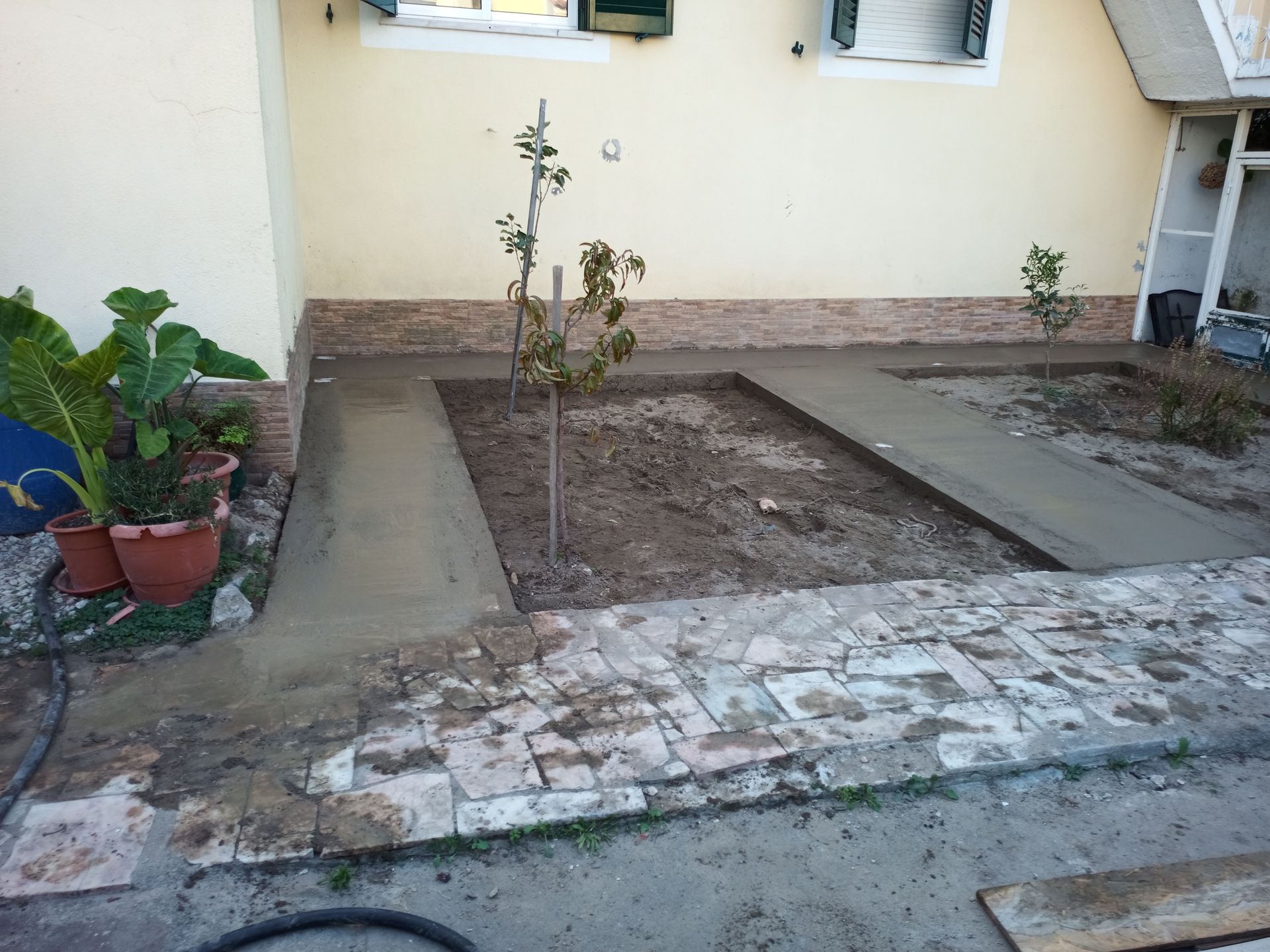 Um pequeno quintal com uma passarela de concreto recém-construída, uma pequena árvore e vasos de plantas.