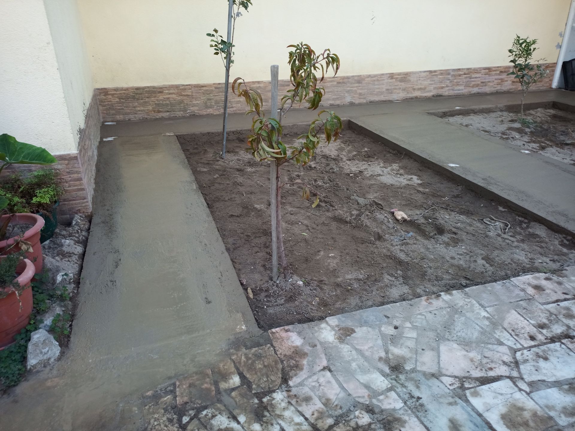 Calçada de concreto sendo construída em um quintal com pequenas árvores e uma borda de tijolos.