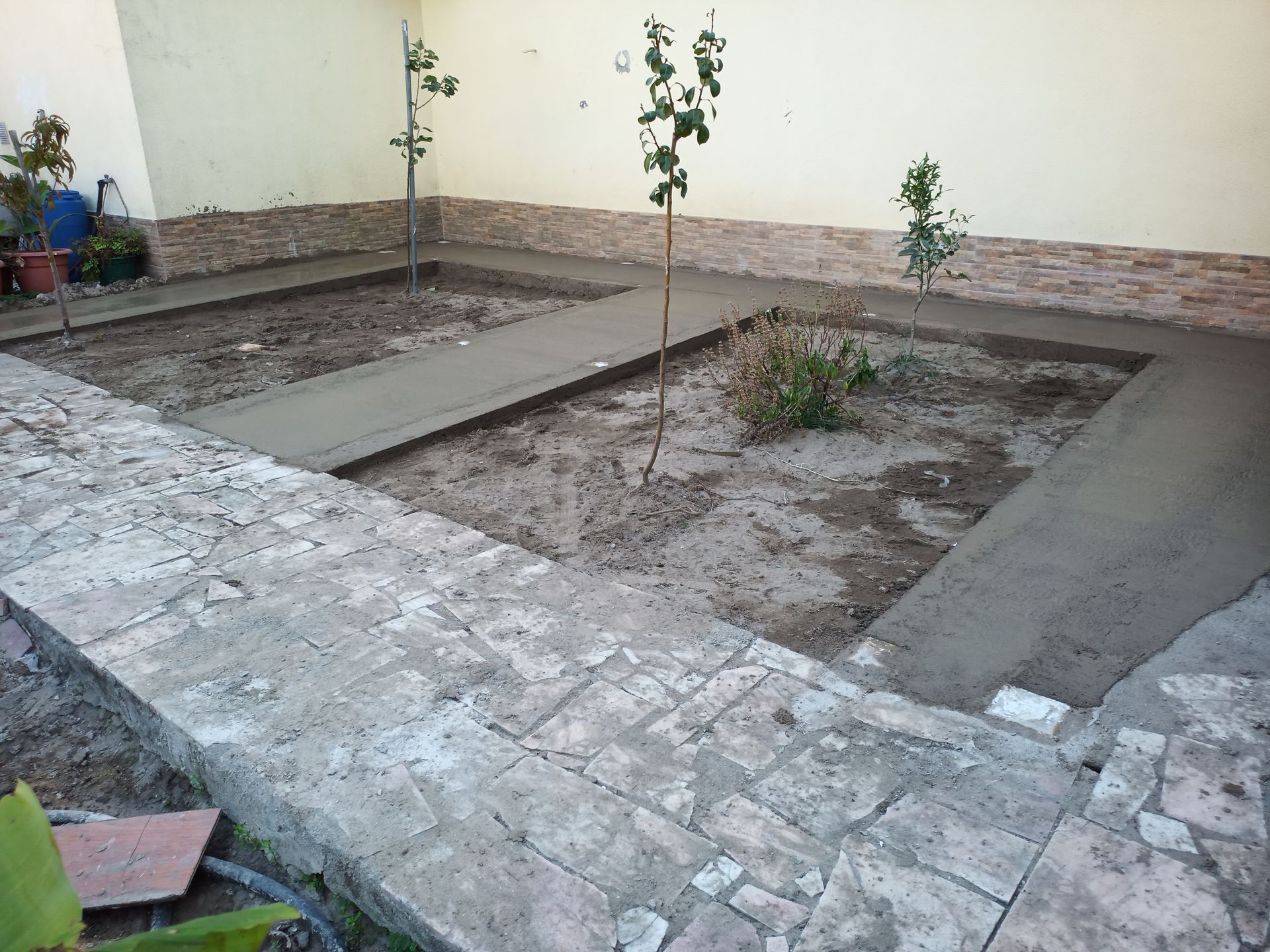 Caminhos de concreto em um jardim nos fundos de casa com árvores jovens e um muro de contenção de pedra.