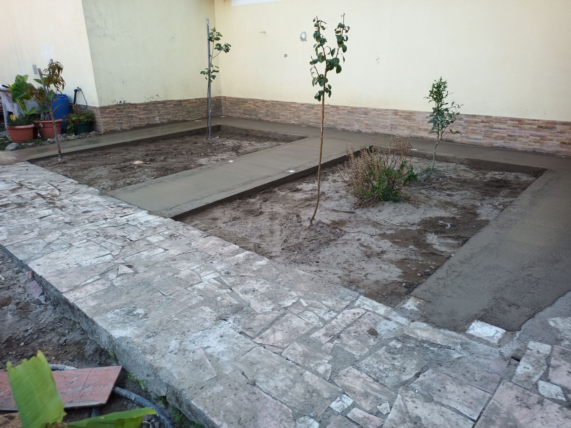 Um canteiro de jardim com caminhos de concreto recém-construídos, pequenas árvores e muros de tijolos ao redor.