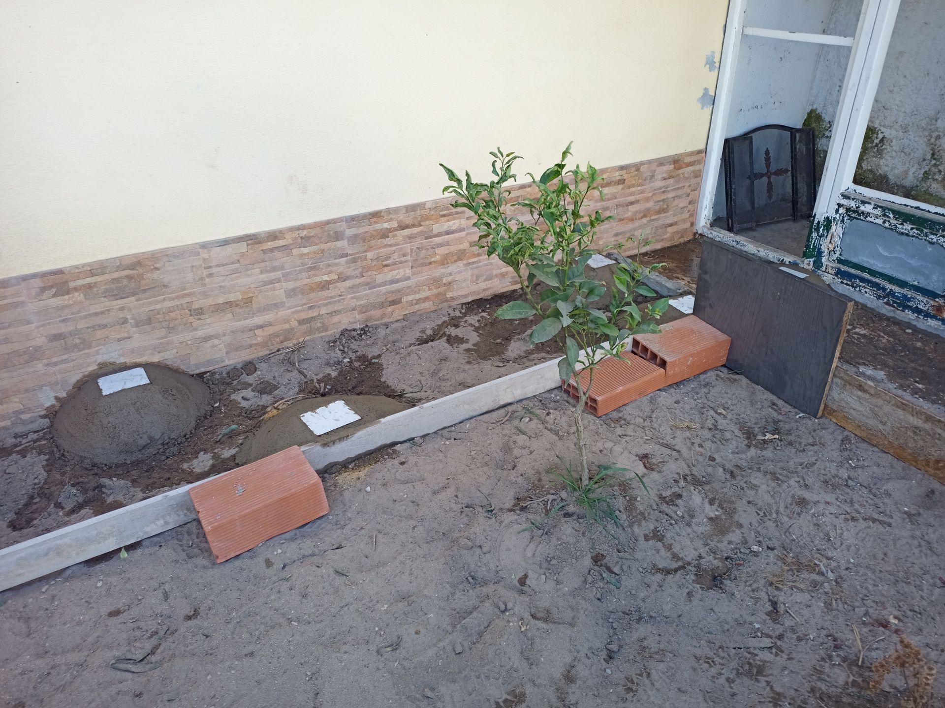 Canteiro de jardim com uma pequena árvore, delimitado por concreto e tijolos, junto à parede de um edifício.