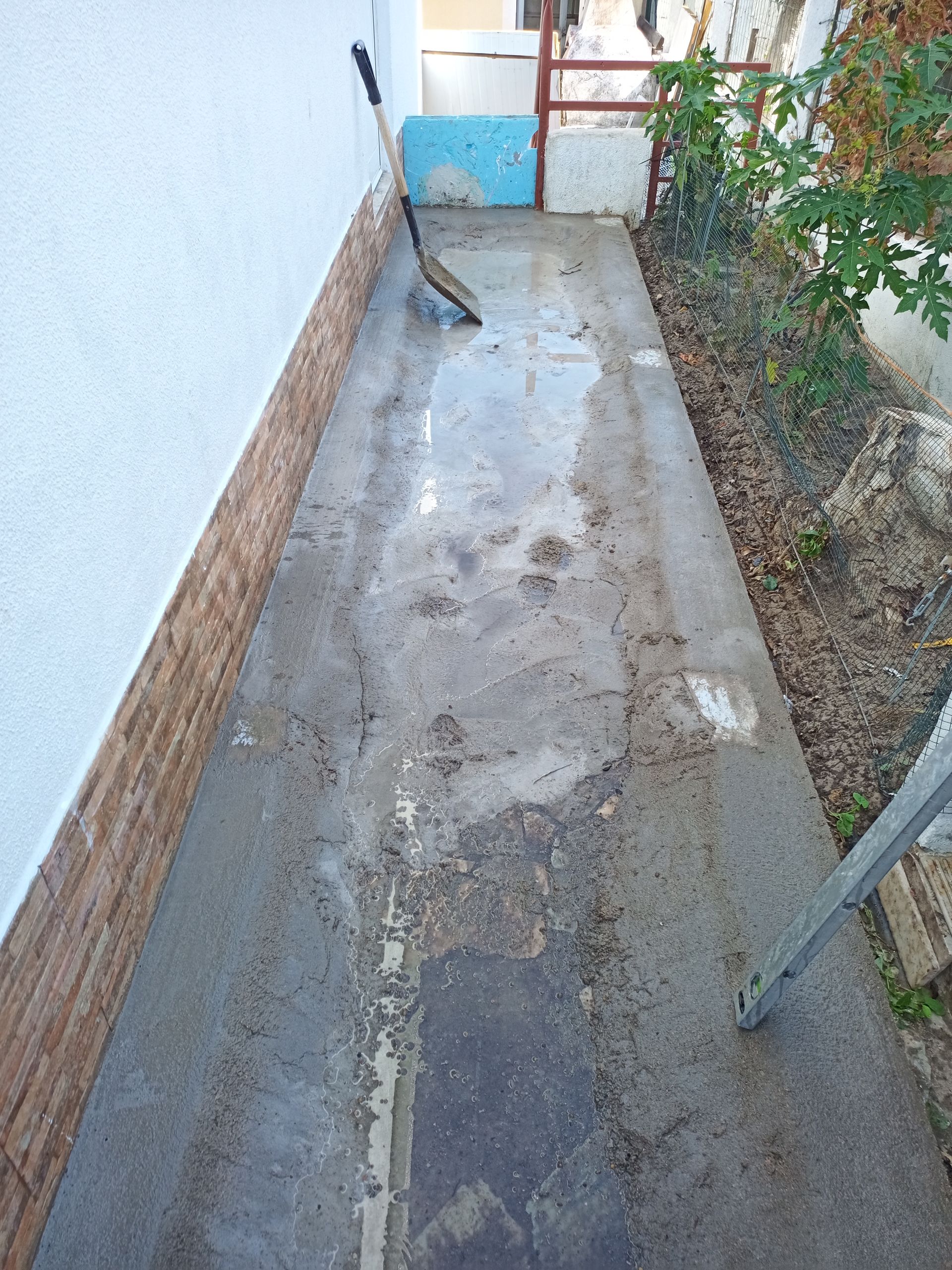 Uma passarela estreita e molhada de concreto com uma vassoura, entre um muro e um jardim.
