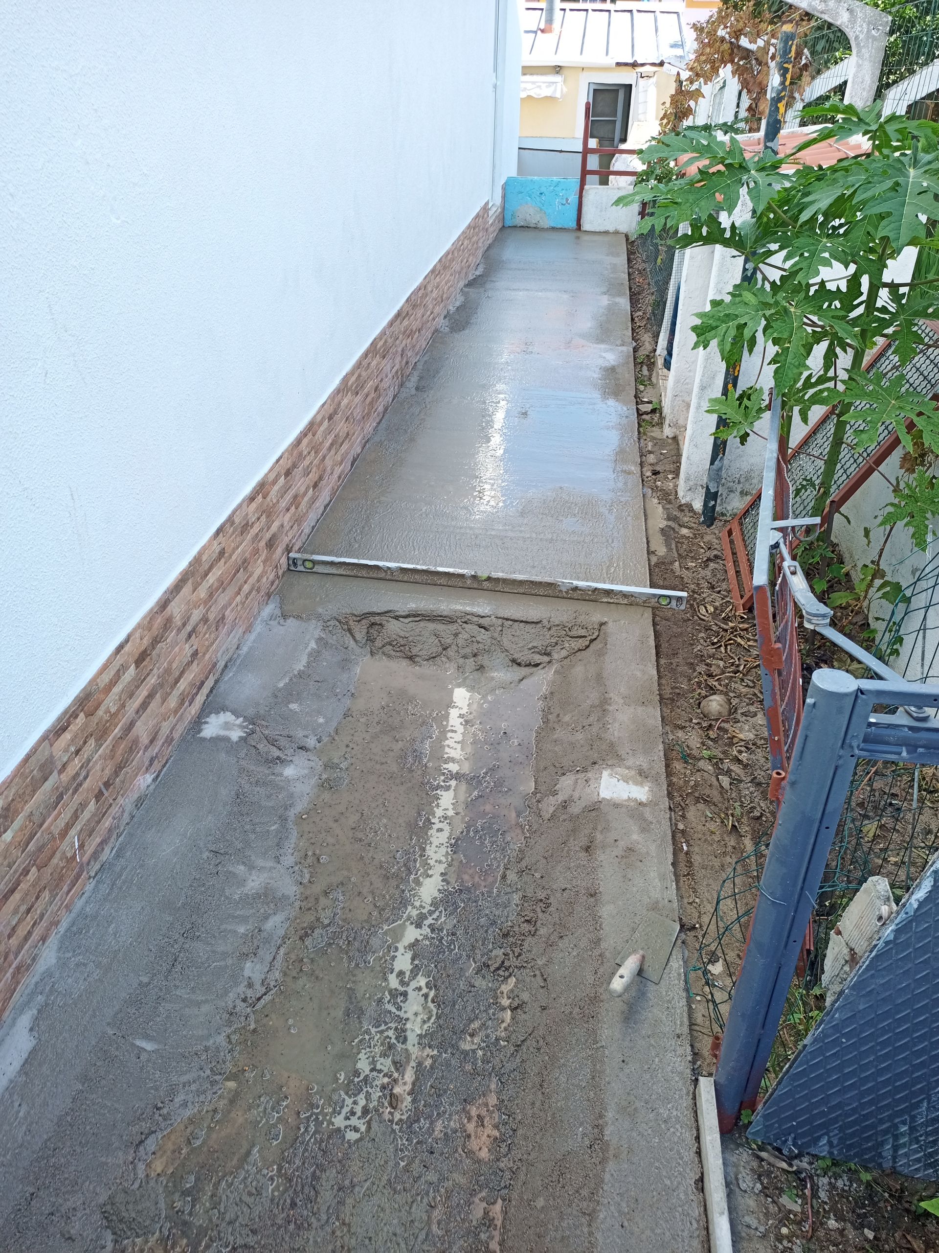 Passarela estreita de concreto entre uma parede azul-clara e um jardim com plantas.