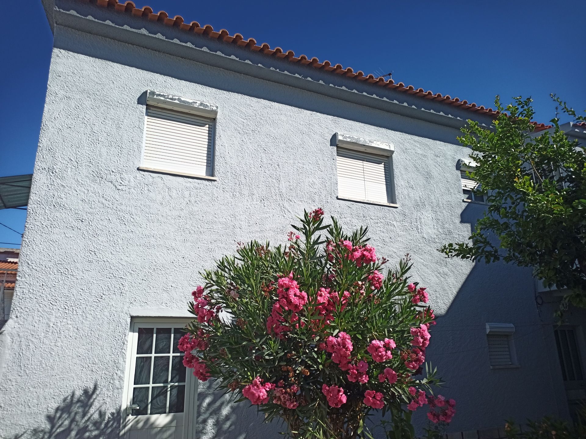 Prédio cinza com telhado de telha vermelha, caixilhos de janelas brancos e arbusto florido rosa na frente.
