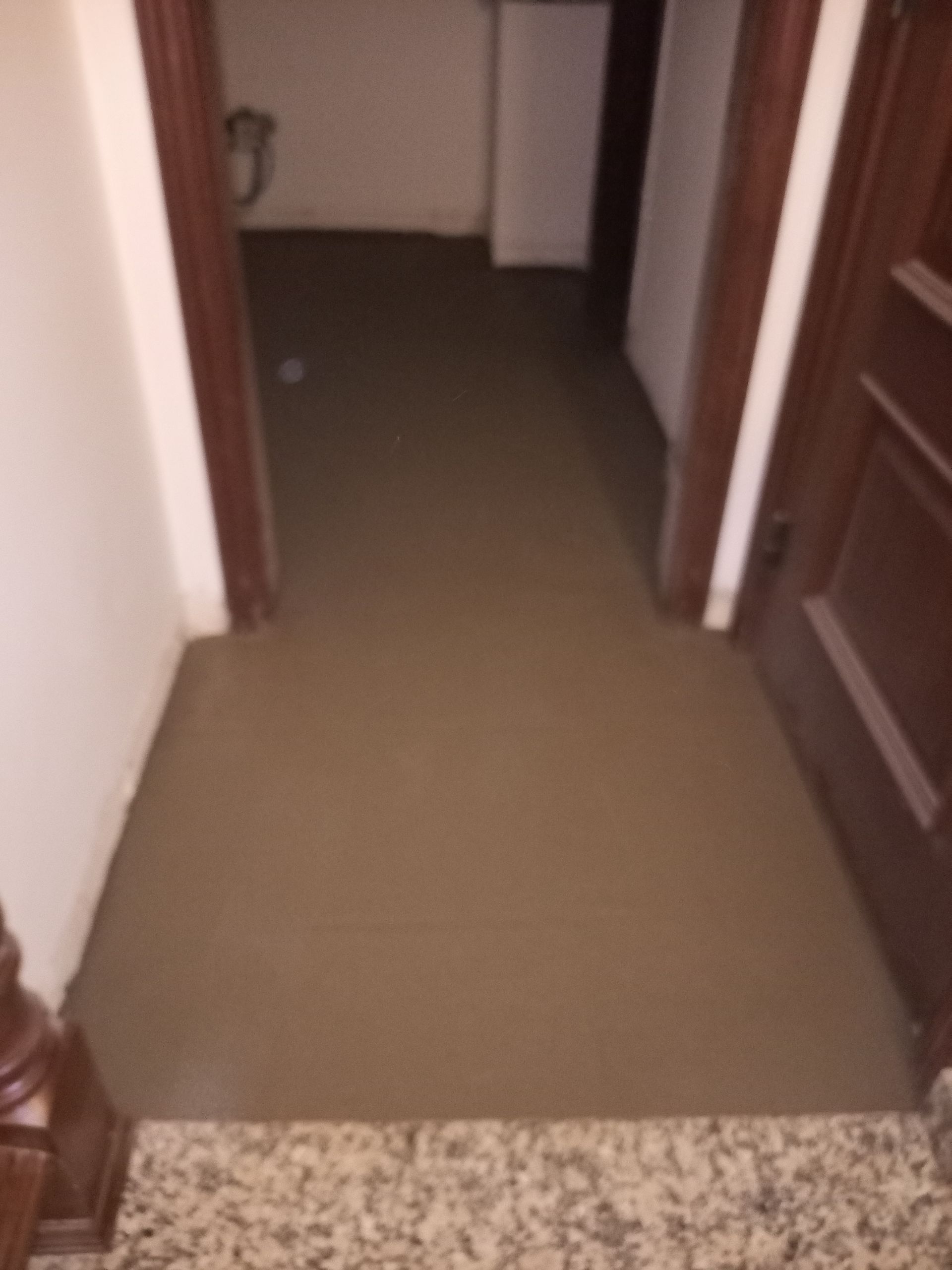 O corredor é revestido com piso marrom, visível a partir de um degrau com moldura de porta de madeira.