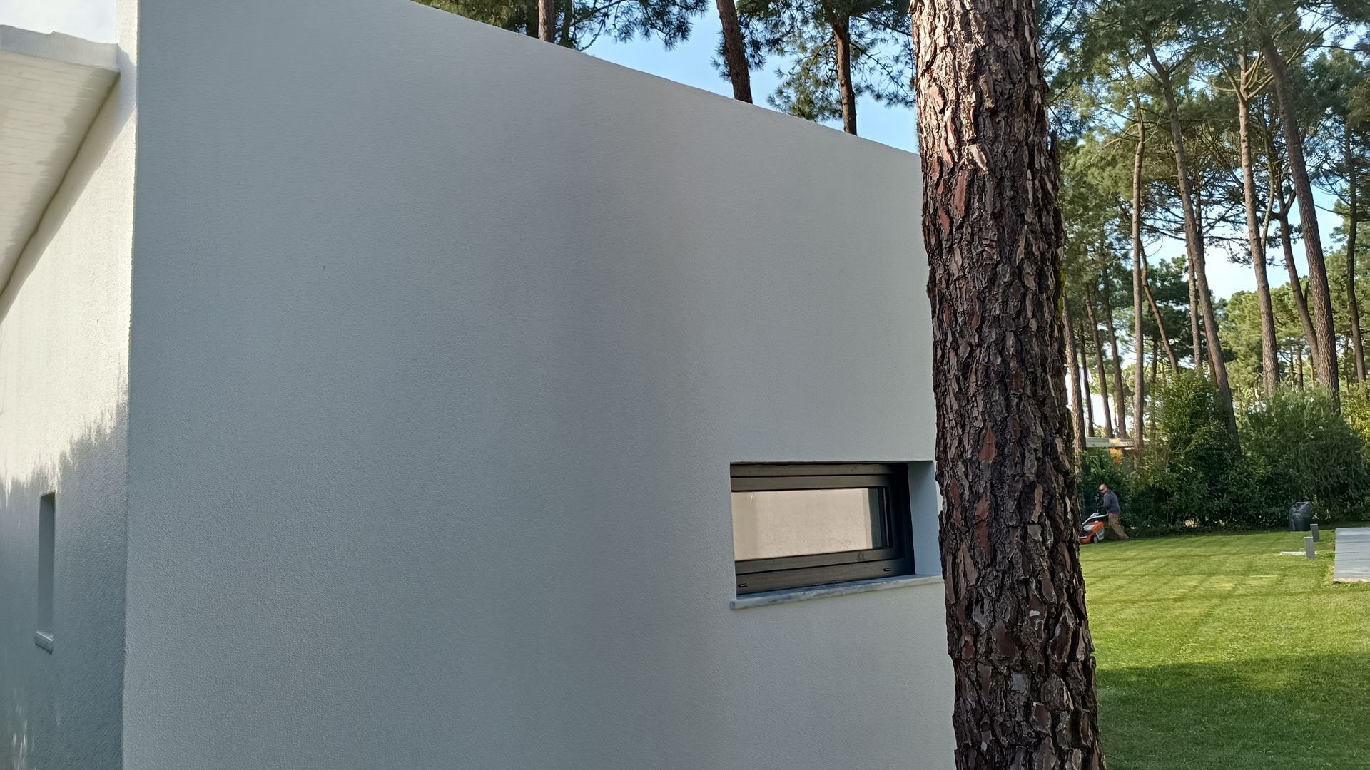 Prédio moderno branco com uma pequena janela, tronco de árvore alto e floresta ao fundo.