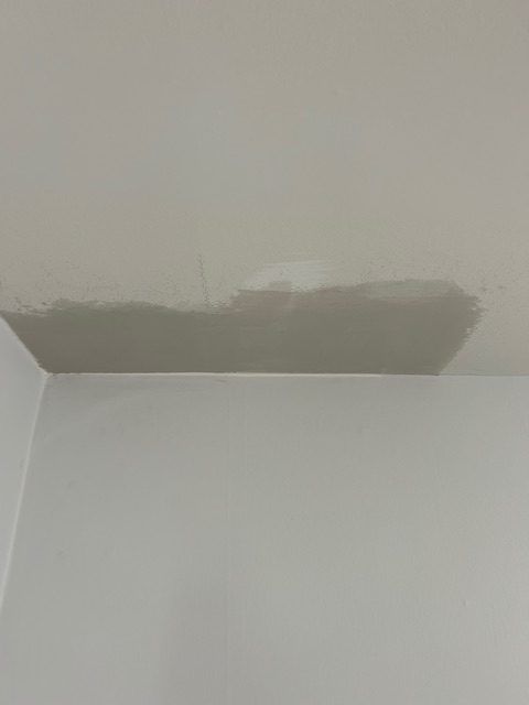 A close-up view of a white ceiling showing a dark, damp water stain near the corner of a wall.