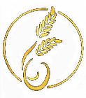 icona logo