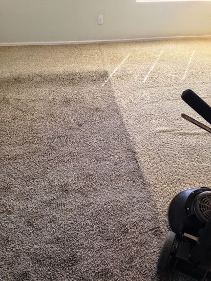 A person is cleaning a carpet in a living room with a vacuum cleaner.
