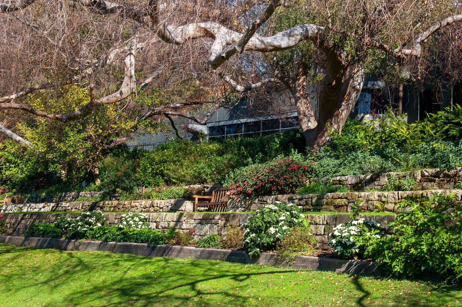 A lush green garden with a stone wall and a tree in the background.