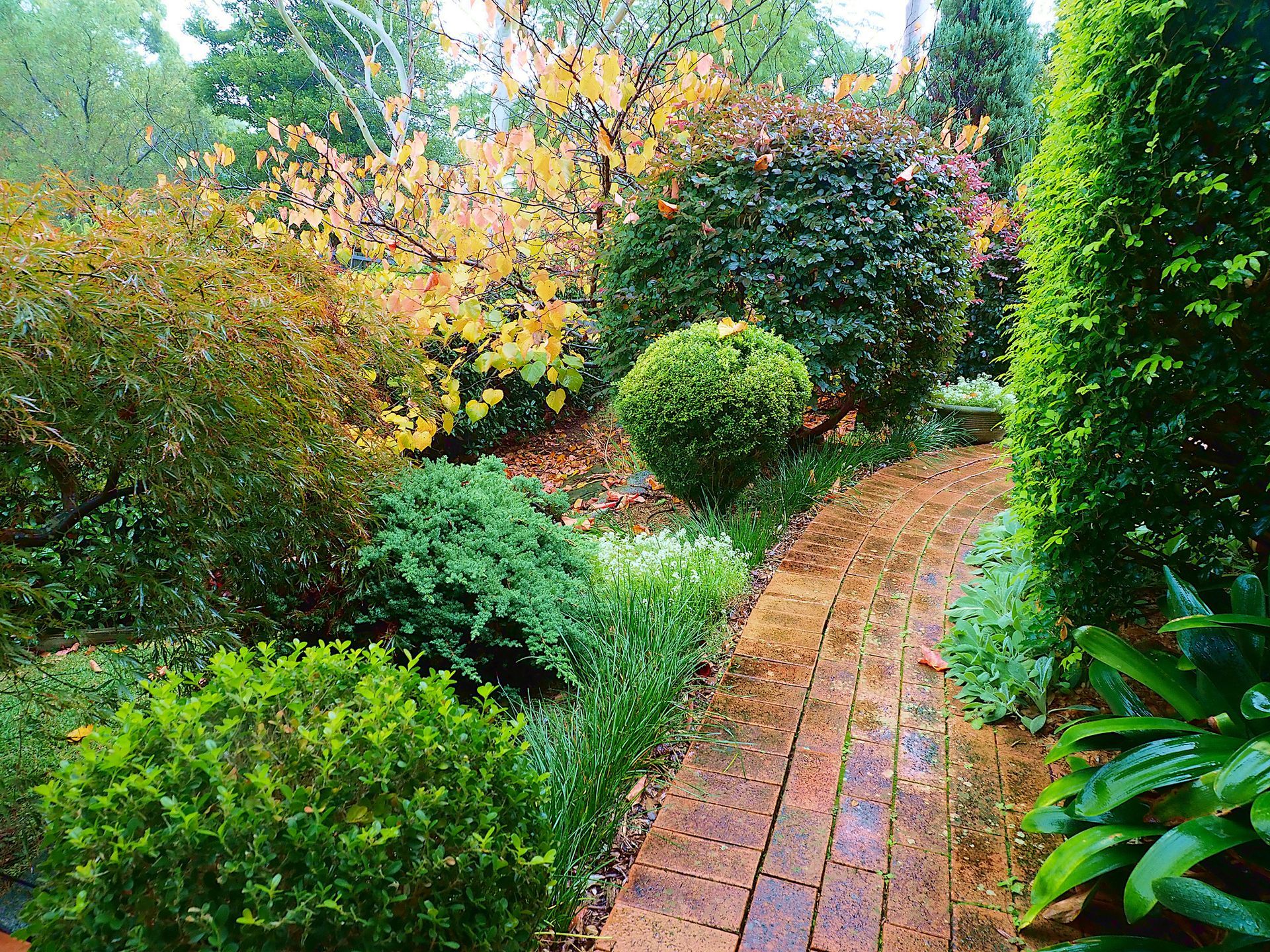 A brick path in a garden surrounded by trees and bushes