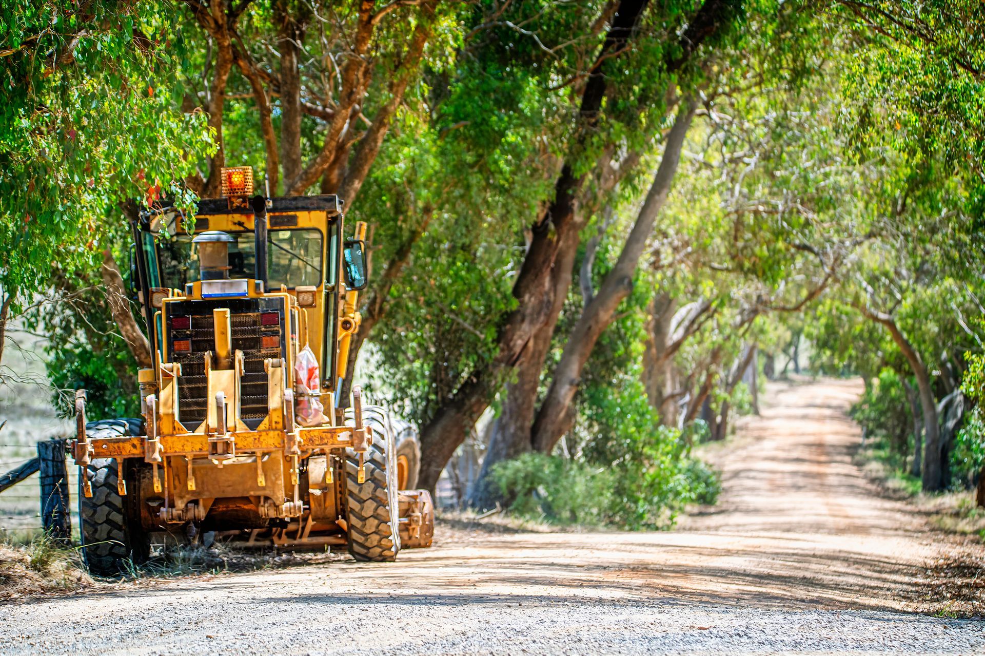 A bulldozer is driving down a dirt road surrounded by trees.