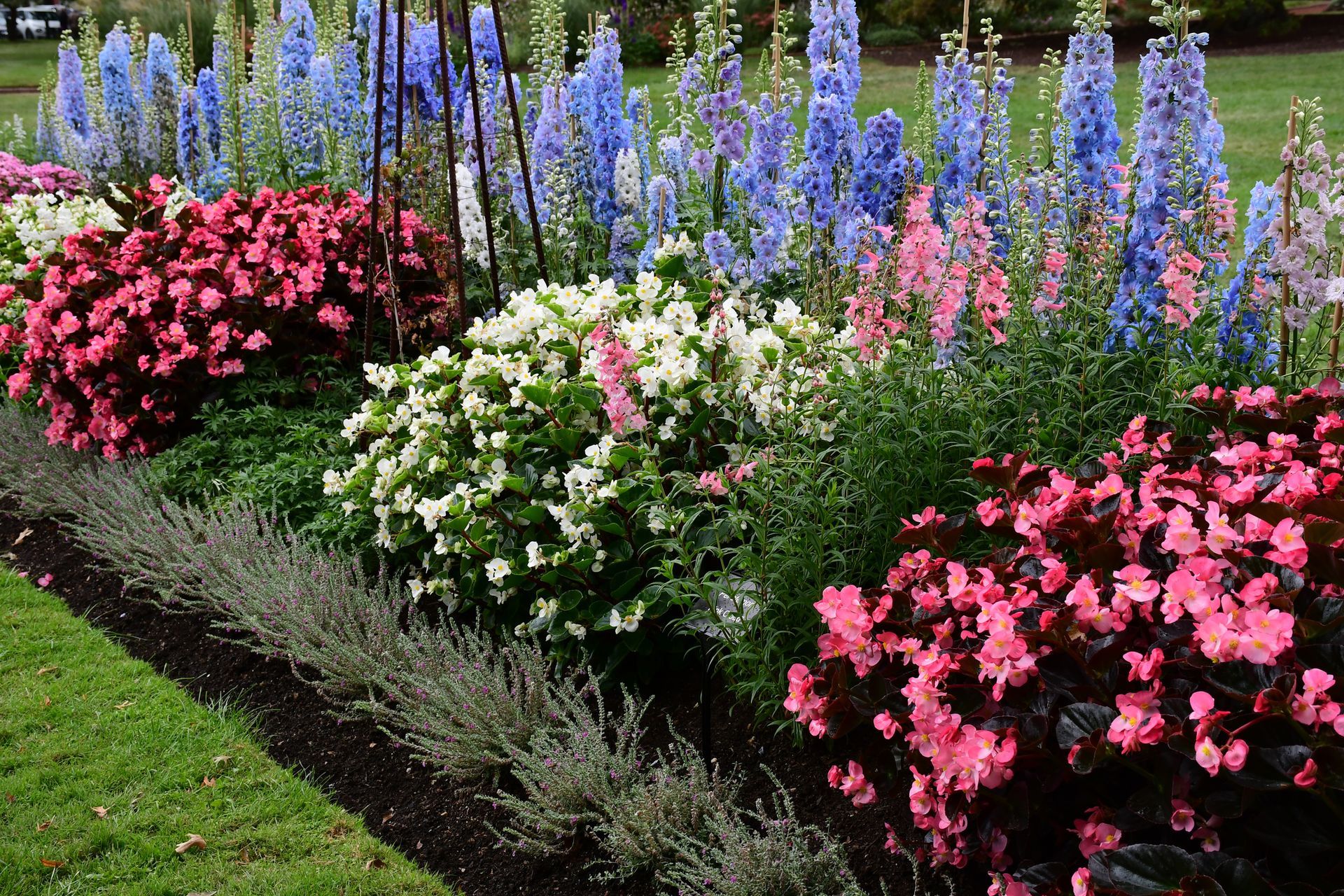 A garden filled with lots of different types of flowers