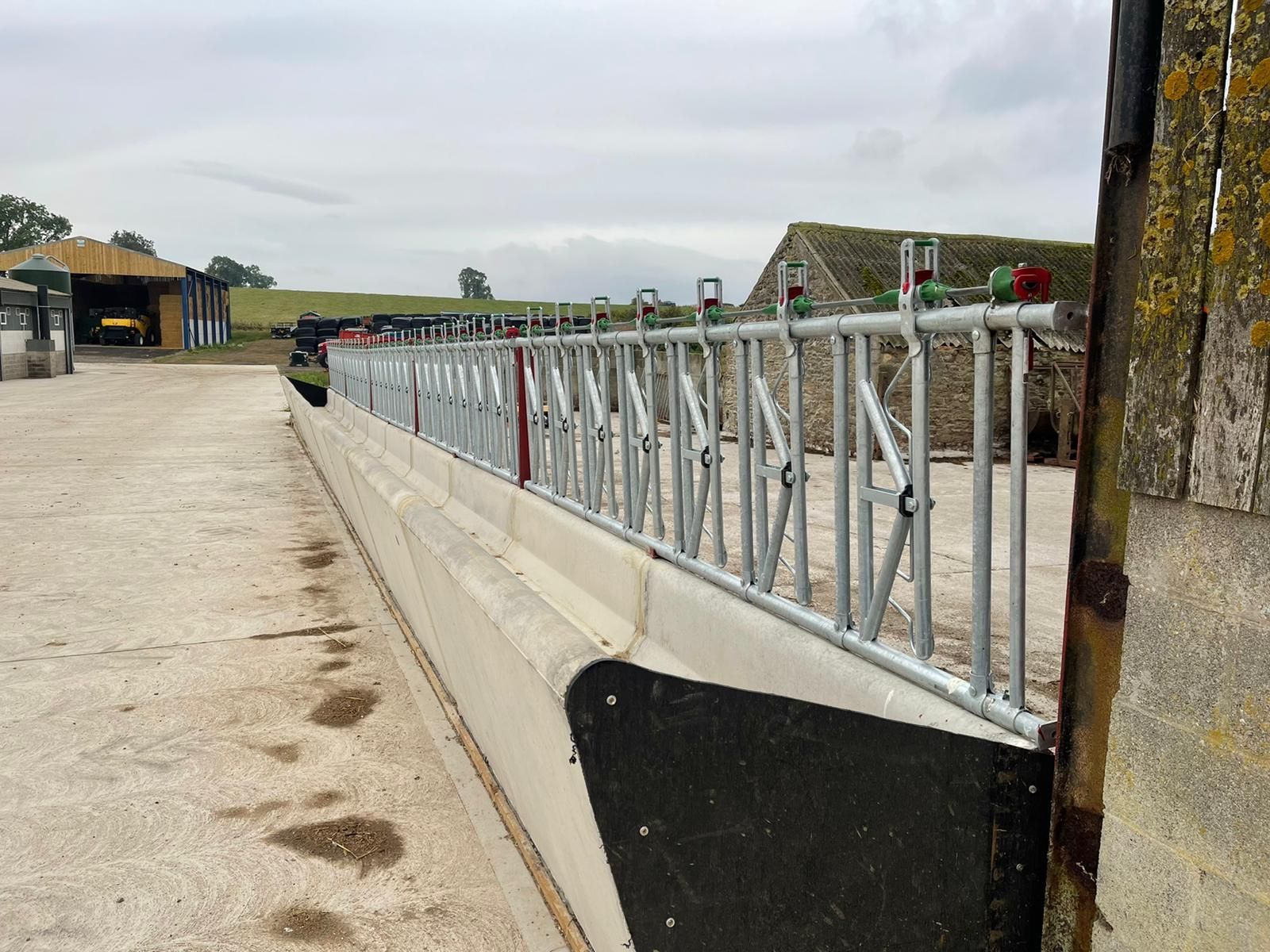 A metal livestock feeding barrier mounted on a concrete wall in an outdoor farm yard with buildings in the background.