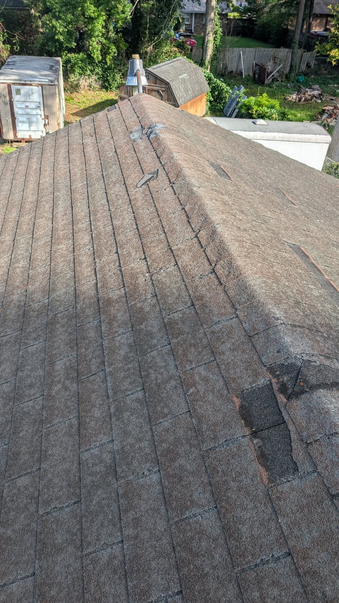 Steep textured roof viewed from above, with trees and a small structure in the background.