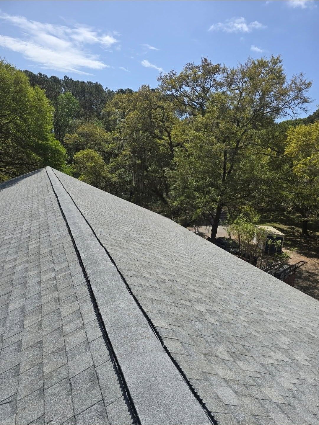 Gray shingle roof in the foreground with trees and blue sky beyond