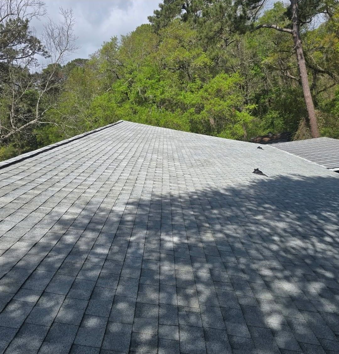 Gray shingled roof beside green trees under a bright sky