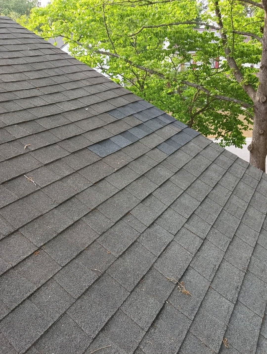 Gray shingled roof beside a leafy green tree on a sunny day