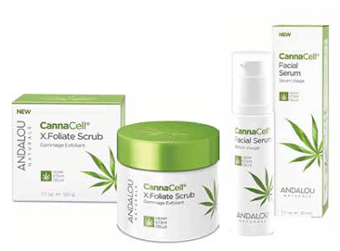 Skincare products: CannaCell X.Foliate Scrub in box and jar, and facial serum with cannabis leaf graphics on white background.
