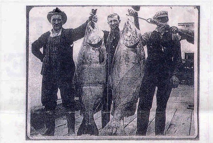 Four men pose with two large, vertically-held fish. The men wear dark clothing and are outdoors.
