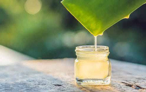 Aloe vera leaf dripping gel into a small glass jar, outdoors on a wooden surface.