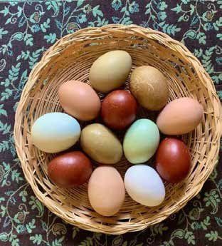 A wicker basket filled with a dozen eggs in various colors, including brown, blue, and green.