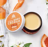 A container of CBD balm, the lid removed to reveal the creamy yellow balm inside, sits next to the open container.