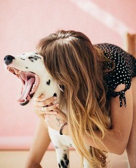 Woman with long hair hugs a yawning Dalmatian dog in a pink room; both are close together.