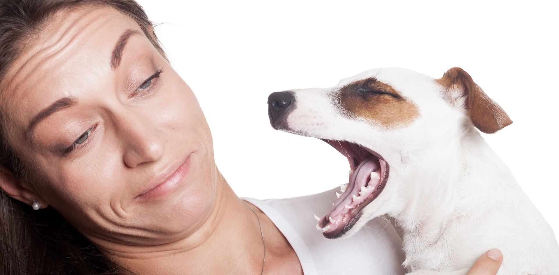 A woman with a disgusted expression holds a yawning Jack Russell Terrier. Both have their eyes closed.