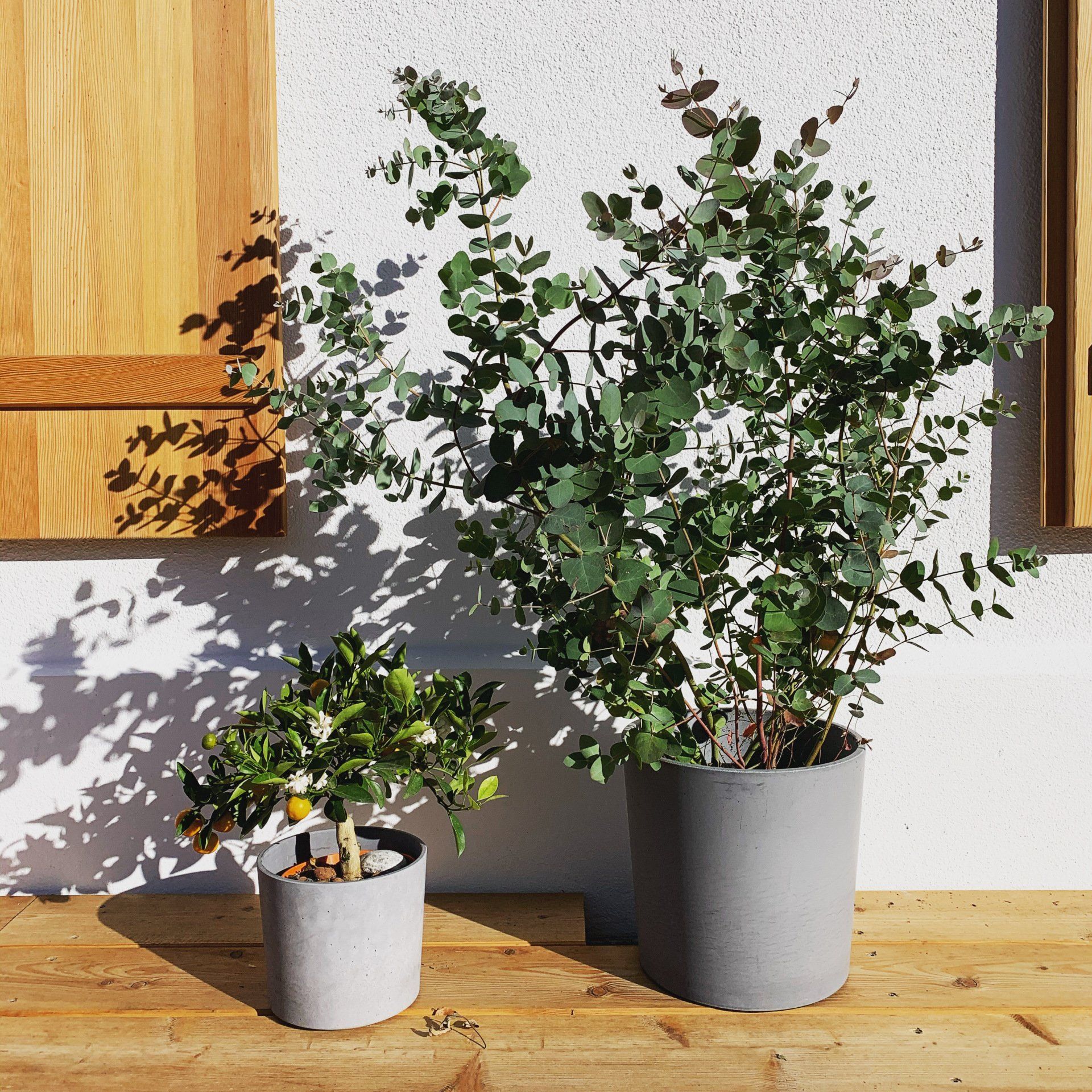 modernes_ferienhaus_schliersee