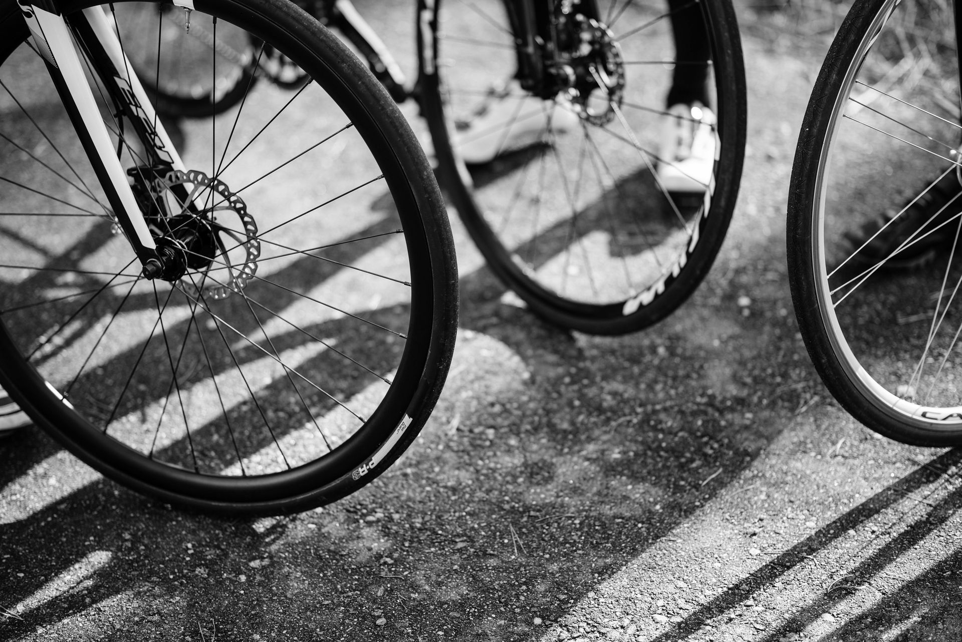 Three bicycle wheels casting shadows on a textured surface.