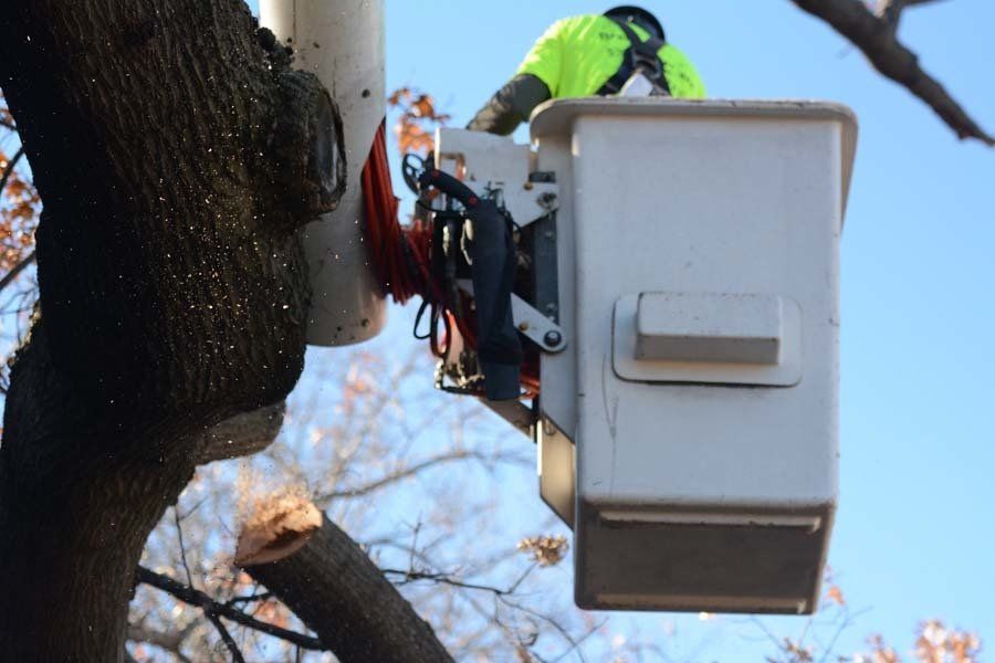 Braik’s Tree Care Staff Working on Residential Tree Service From an Aerial Lift  in Columbia, MO.