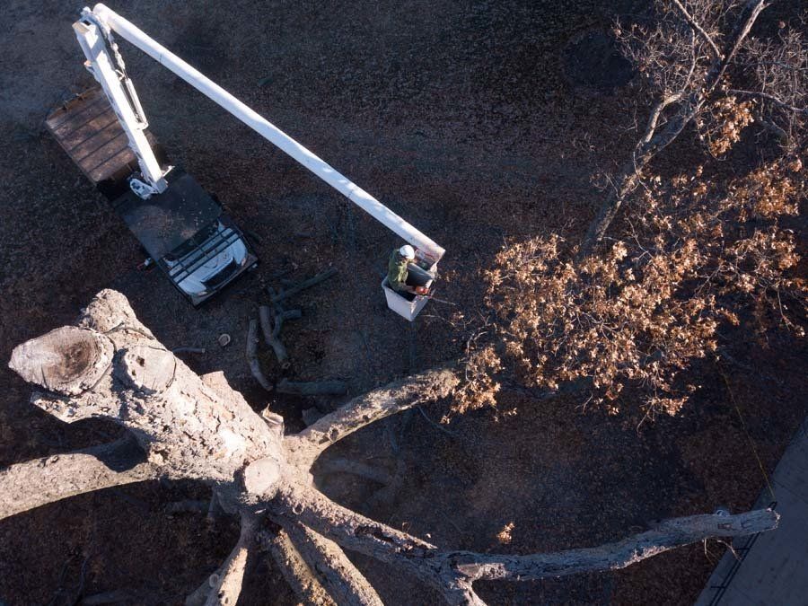 An Above View of Braik’s Tree Care Working on Commercial Tree Service in the Columbia, MO Area.