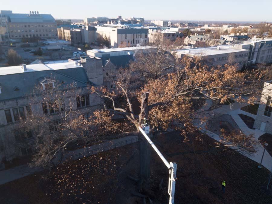 An Aerial Lift From Braik’s Tree Care Working on the University of Missouri Campus in Columbia, MO.
