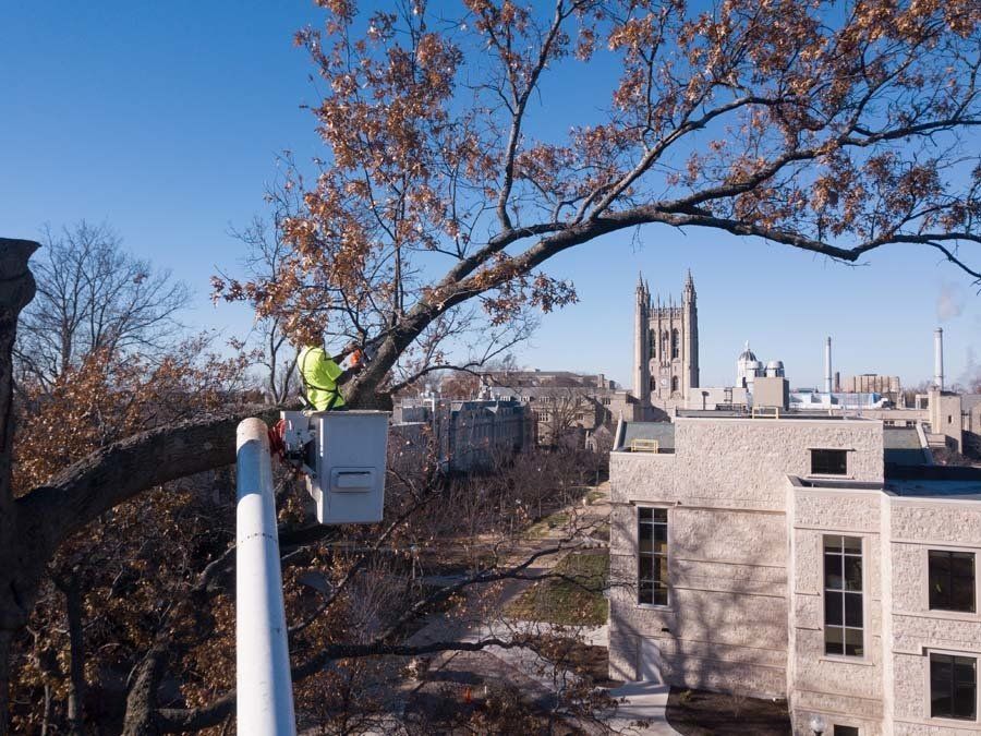 Staff Member of Braik’s Tree Care Working on a Tall Tree From an Aerial Lift in Columbia, MO.