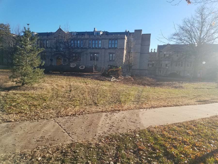 Braik’s Tree Care Doing Commercial Tree Service for the University of Missouri in Columbia, MO.