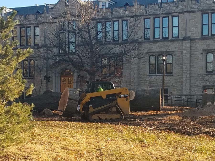 Skid Loader From Braik’s Tree Care Working on the MU Campus Trees in Columbia, MO.
